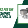 10 Picks for the Best Camping Frying Pans in 2023